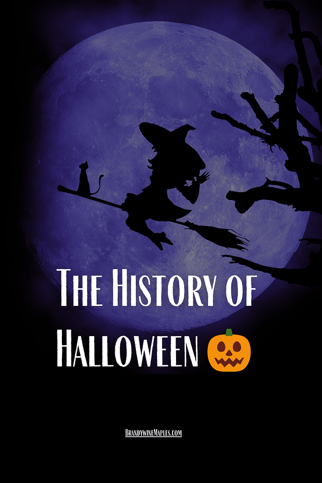 A witch riding a broomstick with a cat in front of the moon.