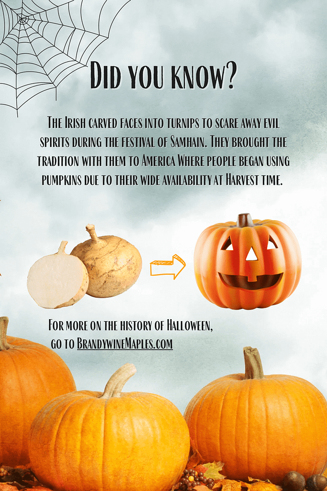 Carving Jack-o’-lanterns is a tradition stemming from the Pagan celebration, Samhain.