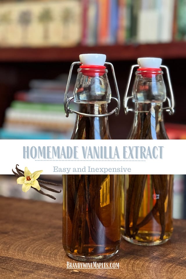Vanilla beans and vodka in clear bottles